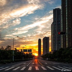 DSC_16241.jpg