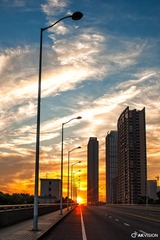 DSC_16331.jpg