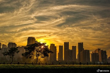 DSC_16571.jpg