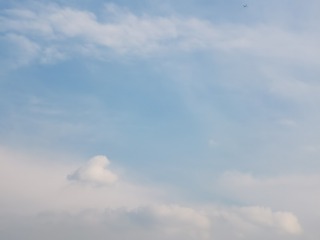 1036339