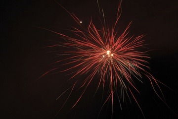 IMG_2925.jpg