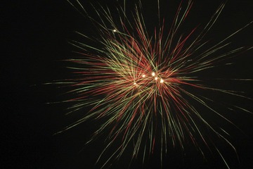 IMG_2926.jpg