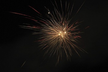 IMG_2927.jpg