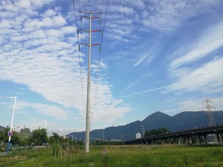 2983504