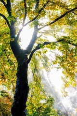 79935008-3FE4-4FB3-B591-10E948058B35/L0/001