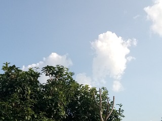 221060