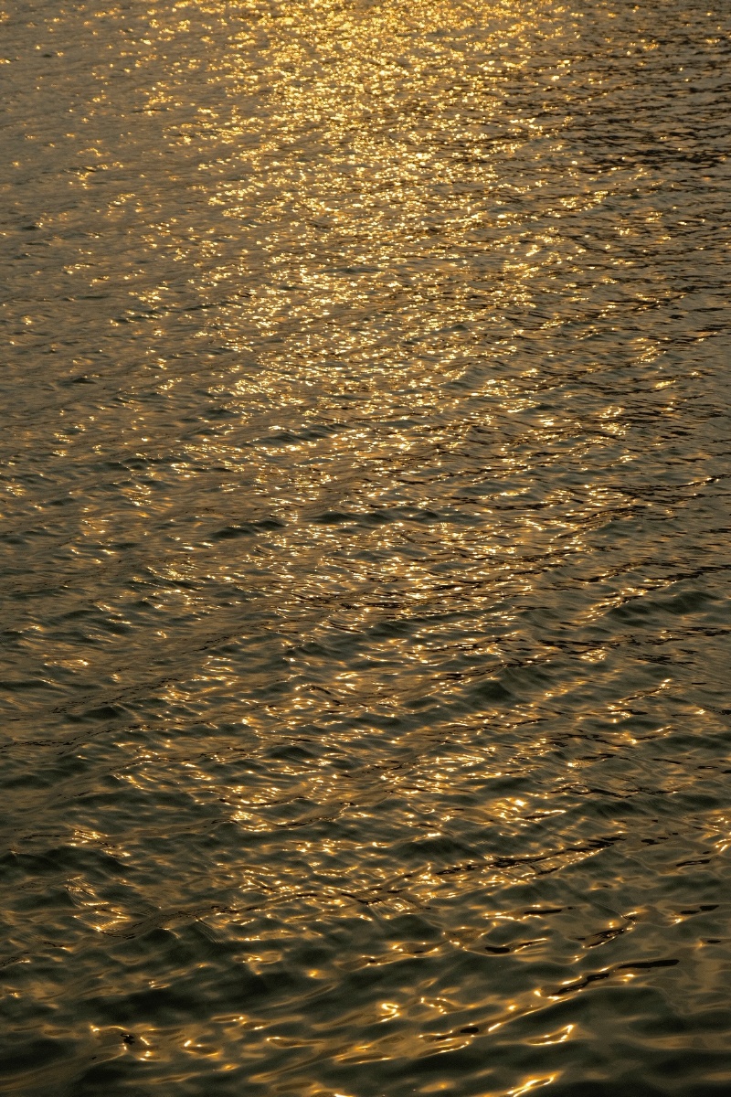 光照在水面上,水在流动,光也就有了形状与波纹. - makaa - 图虫