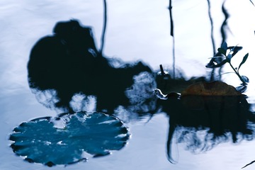 1533365