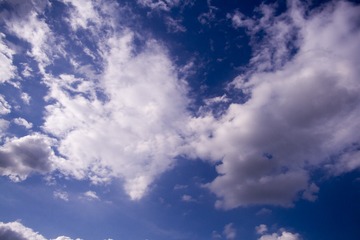 BF36E328-0D74-4007-BB90-3C019CE4BB6D/L0/001