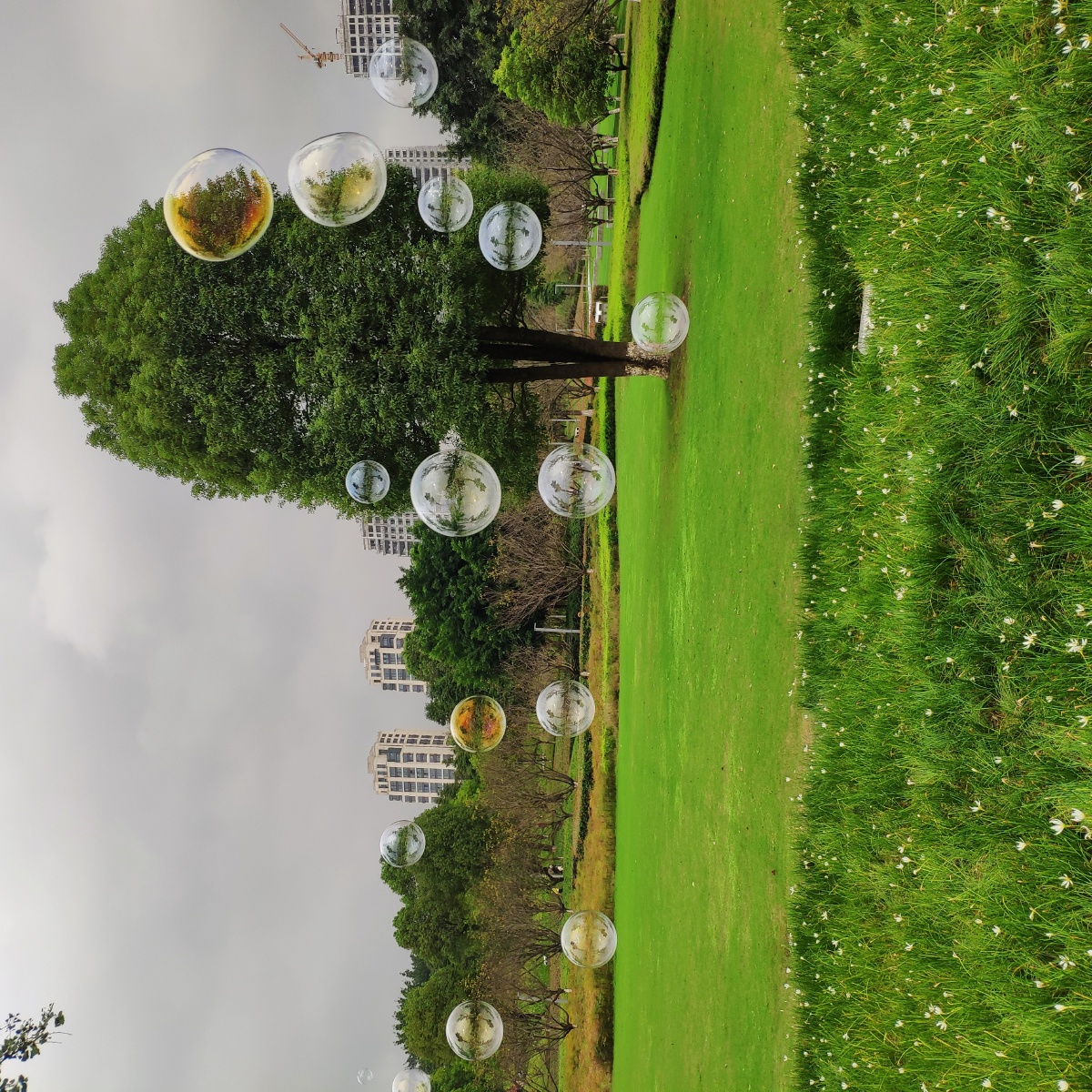 周末和好姐妹去中央公园吹吹泡泡吧