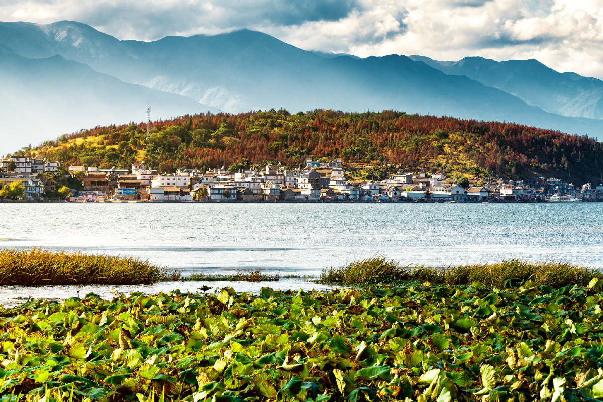 洱海金梭岛 - 戒掉可乐 - 图虫