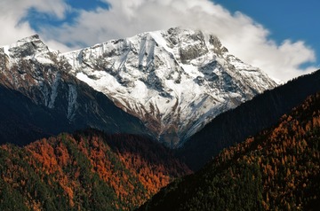 雅鲁藏布江边的秋景