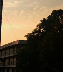 117429