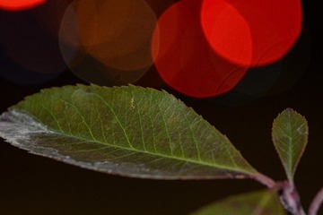 27014