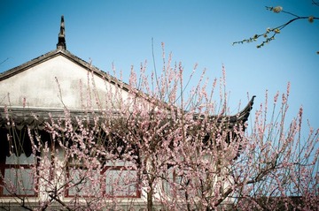 未命名-5.jpg