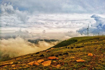 茶山风景