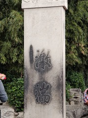 1000039602