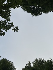 6F764BC8-9695-47E4-B179-C6B9B9A0BB80/L0/001