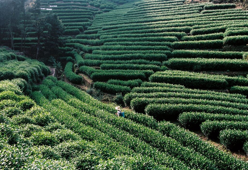 HangZhouLandscape4