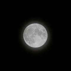 3CA2B744-DA6A-4BE8-8A3D-456FD2B57048/L0/001