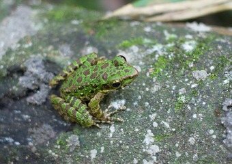 20110820.jpg