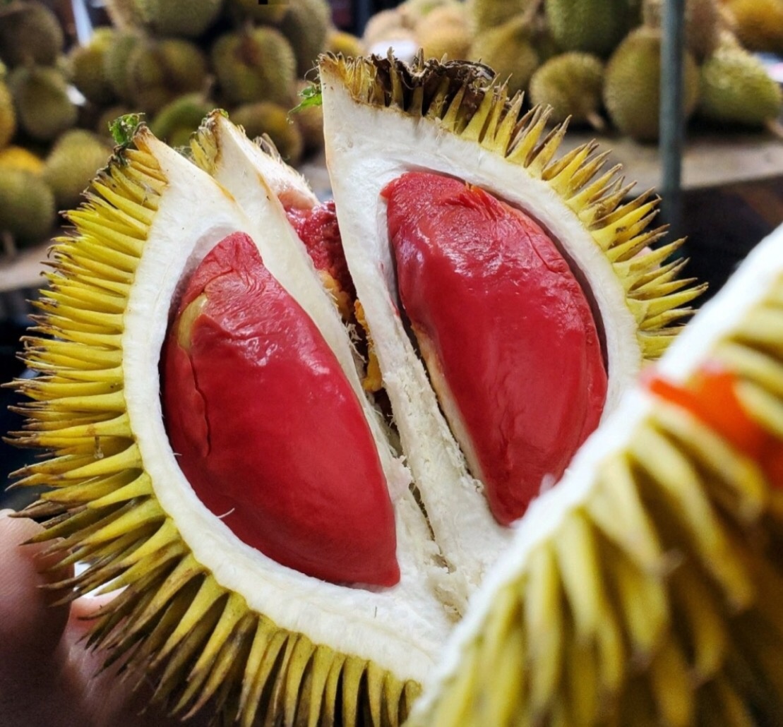 吃过红色榴莲吗