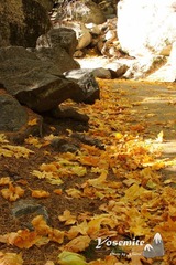 IMG_3469gg