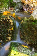 IMG_3456gg