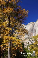 Yosemite Falls