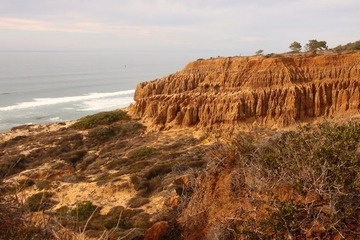 Torrey Pines State Reserve