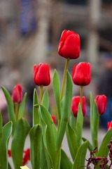 20100214-IMG_0459g