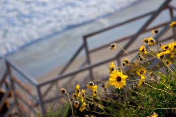 20100313-IMG_1332