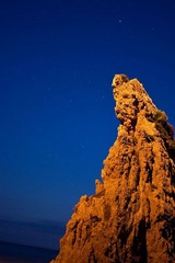 20100313-IMG_1476