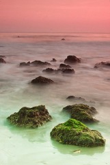 20100320-IMG_1772g