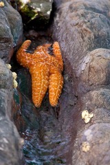 20100321-IMG_2032