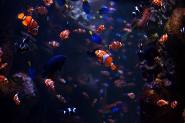 20100321-IMG_2212