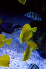 20100321-IMG_2277