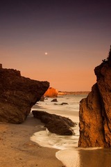 20100328-IMG_2584g
