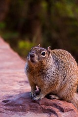 20100529-IMG_5823