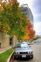 IMG_2844-6