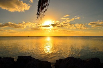 D7K_3459_01.JPG