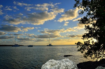 D7K_3506.JPG
