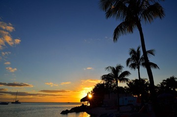 D7K_3591.JPG