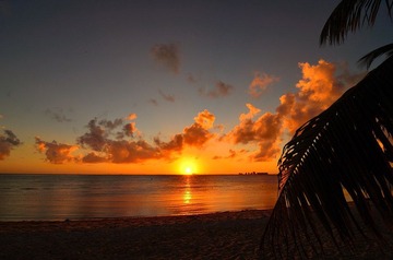 D7K_4051.JPG
