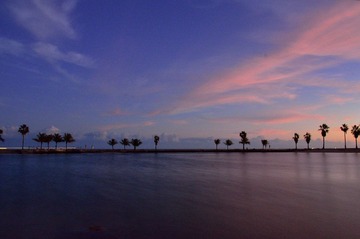 D7K_4342_01.JPG