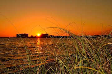 D7K_2418.JPG