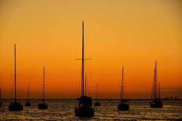 D7K_2463.JPG