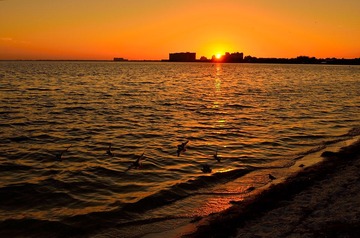 D7K_2425.JPG