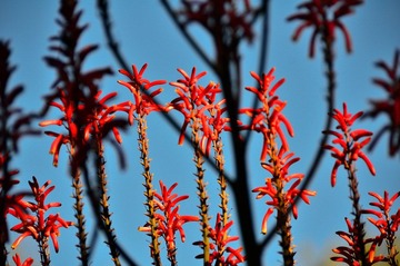 D7K_4152.JPG