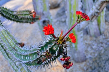 D7K_4161.JPG